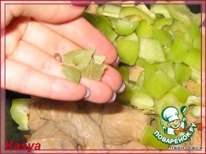 Рецепт приготовления рагу овощного с мясом индейки