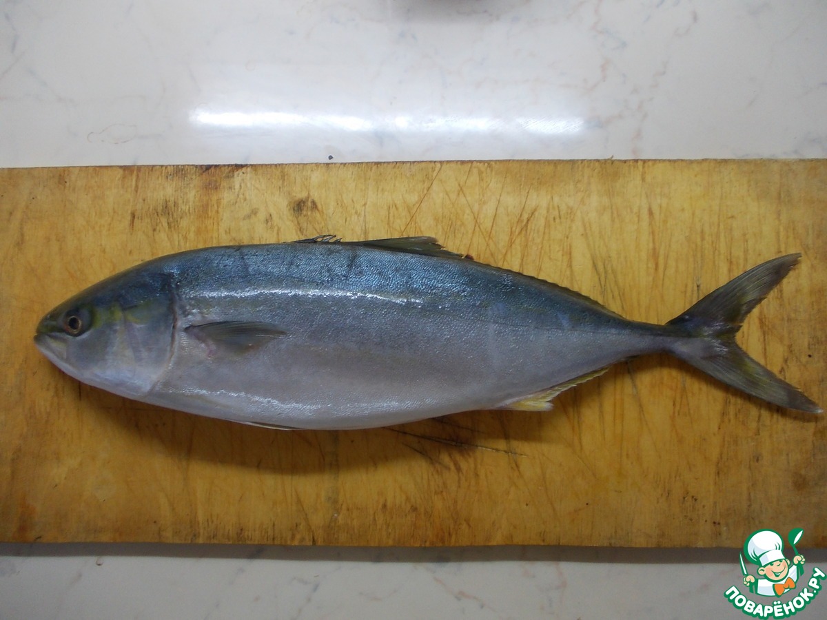 рыба лакедра фото и описание